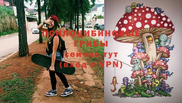 бошки Беломорск