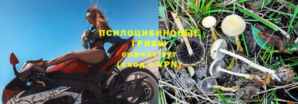 трава Богородицк