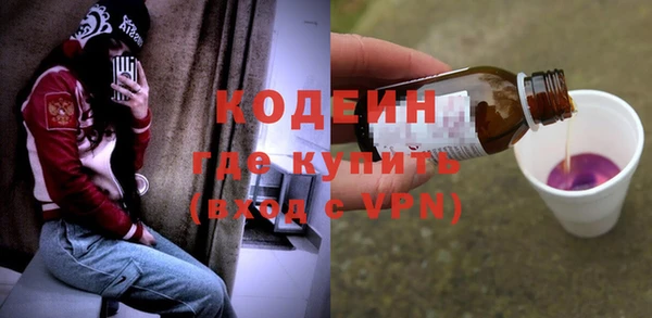 стаф Богородск
