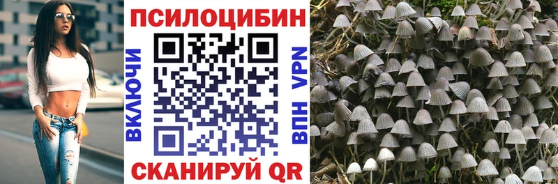 Псилоцибиновые грибы ЛСД  наркота  mega ссылка  Кедровый 